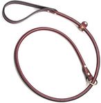 Mendota Pet Leather Slip Leash - Do