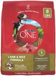 Purina ONE Dry Dog Food Lamb and Ri