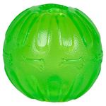 Treat Dispensing Chew Ball, Large