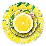 50Pcs Lemon Stickers Laptop Car Scrapbook Phone Skateboard Suitcase Luggage Bike Lemon Stickers Vinyl Waterproof Aesthetic Personalised Stickers for Teens Boys Girls Adults Children