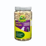 Pluma Bird Food for Pigeons, Dove, Wild Parrots - 800g | Premium Seed and Millet Mix | Daily Feed for Adult & Self Feeding Birds.