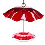 Birds Choice Hummingbird Nectar Feeder with Weather Guard Kit