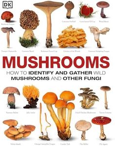 Mushrooms: How to Identify and Gather Wild Mushrooms and Other Fungi