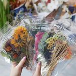 MAXLEAF Transparent Waterproof Stickers Set - 48PCS Vintage Plants Flowers Collection Big Size Waterproof Stickers for Decoration Planners Scrapbook Laptops (Dried Flowers)