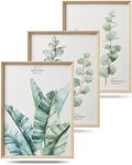 UPWOIGH Framed Wall Art, Canvas Green Wall Art,Botanical Wall Decor, 12x16in Wood Framed High Side Design, Eucalyptus Leaf Artworks Prints Poster for Living Room, Bedroom,Set of 3