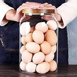 SAIOOL Egg Jar,kitchen canister， 1 Gallon Large Glass Food Storage Jars with Airtight Lid, Clear