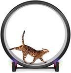 One Fast Cat - Cat Exercise Wheel -