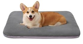 Generic Orthopedic Dog Beds