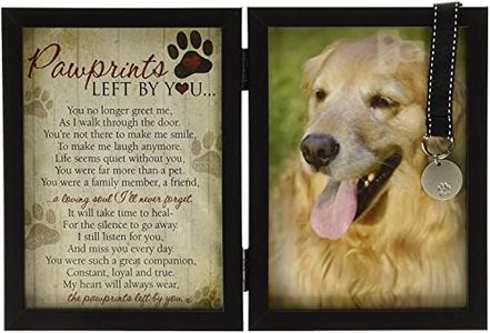 Pawprints 