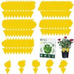 Fruit Fly Traps, TRIITECH 50 Pack Sticky Fly Traps, Plant Fly Stickers, Sticky Bug Traps for Indoor and Outdoor