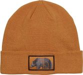 THE NORTH FACE Dock Worker Recycled Beanie Hat, Light Brown /Bear Graphic, One Size