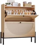 IRONCK Shoe Cabinet Storage with 2 
