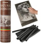 Trzzyan 25 PCS Willow Charcoal Sticks, Ideal for Artists, Beginners, Students, Perfect for Sketching, Drawing, Shading, and Fine Art, 5.7 Inches Long, 2-4,4-5,5-7,7-9 (4-5)
