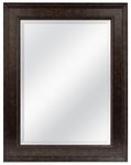 MCS 20676 Beveled Mirror with 21.5 x 27.5-Inch Frame, Bronze