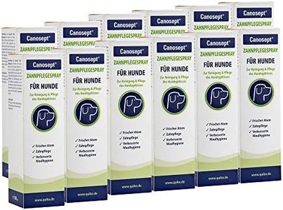 Canosept Zahnpflegespray 12 x 100ml