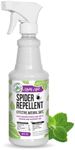 Mighty Mint - 16oz Spider Repellent Peppermint Oil - Natural Spray for Spiders and Insects - Killer + Deterrent