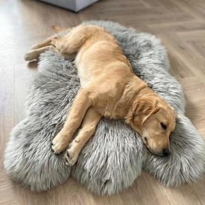 IHAPPYDOG