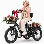 ESKUTE E Trike Electric Bike, Peak 