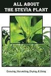 All About The Stevia Plant: Growing