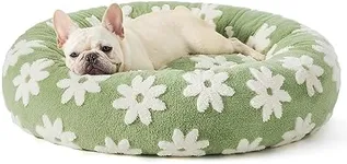 Lesure Donut Small Dog Bed - Round Cat Beds for Indoor Cats Calming Pet Beds, Cute Modern Beds with Jacquard Shaggy Plush & Anti Slip Bottom, 30 Inch, Green