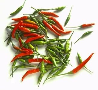 Thai Chili