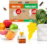 Super Ninja Fruit Fly Trap & Fungus Gnat Killer Combo – 2 Fruit Fly Catcher + 10 Fungus Gnats Sticky Traps, Indoor Fly Control for Houseplants, Non-Toxic, Up to 3 Months of Protection