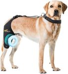 Dollephi Dog Knee Brace for Torn ACL Hind Leg, Support for Patella Dislocation or Osteoarthritis, Cruciate Ligament Injuries, Cut-Out Non-Slip Wrap Promotes Patellar Stability((Right Leg,S)