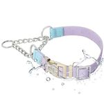 BELLA & PAL Martingale Dog Collar, Waterproof Collar for Dogs Training with Quick Release Buckle, Stainless Steel Chain, Dog Collar for Small Medium Large Dogs