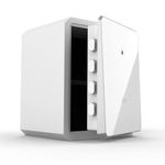 BOFON Fingerprint Password Safe Box with Key, Cabinets for Home Offcie,Lock Box,Security Box,Biometric safe,W-series 2.1Cubic feet BOFON