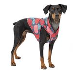 Kurgo Loft Dog Jacket, Reversible Dog Coat, Wear with Harness or Sweater, Water Resistant, Reflective, Winter Coat For Small Dogs (Lava Lamp, S)