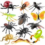 FunBlast Realistic Insect Toys for Kids -12 Pcs Jumbo Size Animal Figure Toy for Kids, Toys for 3+ Years Old Boys, Girls, Prank Toys for Kids and Children (Multicolor)