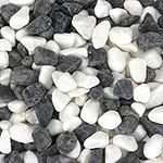 Belle Vous Decorative Natural Grey and White Pebbles (3.6kg Bag) - 1.4-2.6cm/0.55-1.02 inches Assorted Stones - Mixed River Gravel for Vase Filler/Plant Pots, Landscaping, Aquariums, Home and Gardens