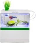 UPETTOOLS Fish Tank Desktop Aquariu