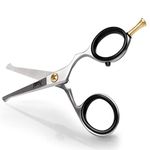 BRV MEN Rounded-Tip Scissors, 10.6cm (4.2") - High Carbon Stainless Steel - Beard, Moustache, Nose Hair, Ear Hair Trimming - Professional Grooming Scissors (Silver)