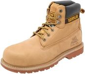 Caterpillar Men's Holton Steel Toe 