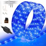 WYZworks 20' feet Blue LED Rope Lig