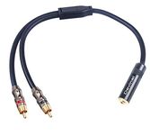 Devinal RCA to 1/8 Female Y Cable, Female 3.5mm to Dual RCA/Phono Male Stereo Splitter Cord, Mini Jack Female to 2RCA Male Audio Breakout Adapter 12 inch 30cm
