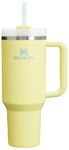 Stanley Quencher H2.0 FlowState Stainless Steel Vacuum Insulated Tumbler with Lid and Straw for Water, Iced Tea or Coffee, Smoothie and More, Pomelo, 40oz, 10-11673-066