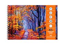 MENORAH-A5-Sketch Book-140 GSM-50Sheets/100Pages-A5 Sketch Book (14.8cm x 21cm) - (Planted Blaze) design-Ideal for Pencil Sketching,Mandala,Soft Pastels,Oil Pastels,Portrait Sketching,Charcoal,Graphite