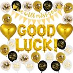 We Will Miss You Decorations - Sorry Your Leaving Party Supplies Includes Pennants Banners Hearts Good Luck Balloons for Retirement Graduation Office Work Going Away Themed Party