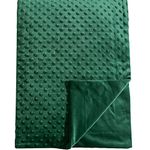 david's kids Minky Baby Throw Blanket for Boys Girls Neutral, 50x60 Inches Soft Lightweight Micro Fleece Blanket with Double Layer, Dotted Backing, Receiving Blanket for Newborns, Emerald Green