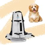 Dog Backpack For Corgis