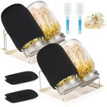 Lulonpon Sprouting Kit, 4 Sprouting