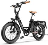 1500W Peak Electric Bike for Adults