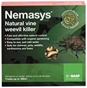 Nemasys Vi