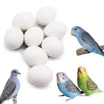 FOIBURELY 8 Pcs Solid Parrot Plastic Eggs Hatching Eggs Parrotlet，Budgie Parakeet，Diamond Dove Trick The Birds to Stop Laying Eggs, Fake Eggs（19mm16mm）