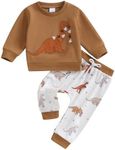 Geagodelia Baby Boy Clothes Outfits Fall Winter Dinosaur Print Tracksuit Long Sleeve Sweatshirt Trouser Sets (B Auburn, 0-6 Months)