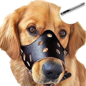 Woofy Dog 