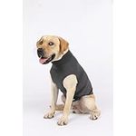 ODSSTAIPS Dog Anxiety Vest,Thunder Vest for Dogs Anxiety,Dog Thunder Jacket Anxiety Calming Vest,Comfort Anxiety Vest for Dogs,Dog Anxiety Relief Coat for Thunderstorm,Travel and Vet Visits,Grey M