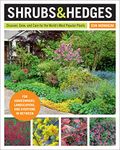 Low Maintenance Dwarf Shrubs